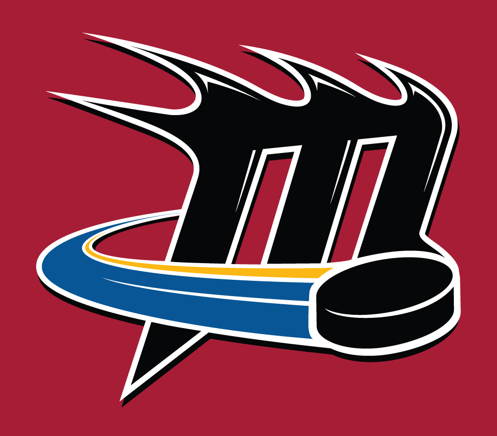 Lake Erie Monsters 2007-2012 Alt on Dark Logo iron on heat transfer